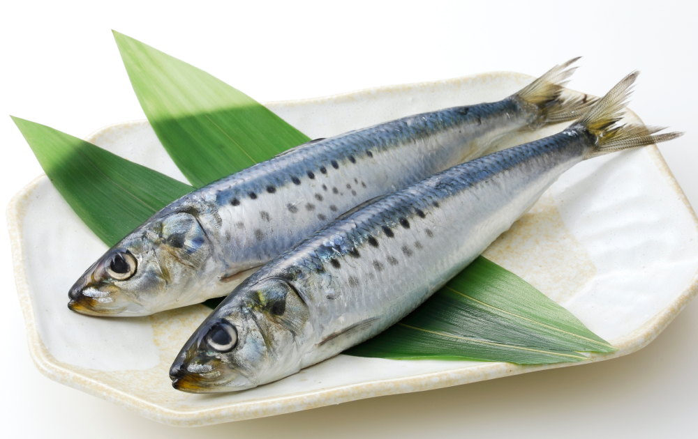 目のトラブルでお悩みの方へ——「目薬だけ」に頼らない根本的なアプローチ